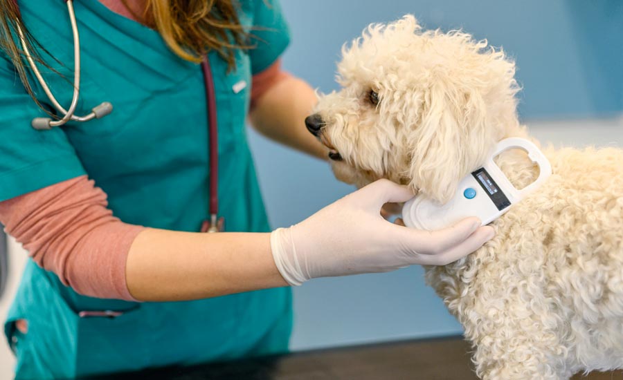 campana-de-identificación-de-mascotas-con-microchip