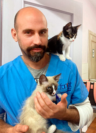 centro-veterinario-en-Moralzarzal